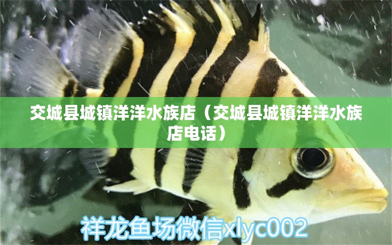 交城县城镇洋洋水族店（交城县城镇洋洋水族店电话）