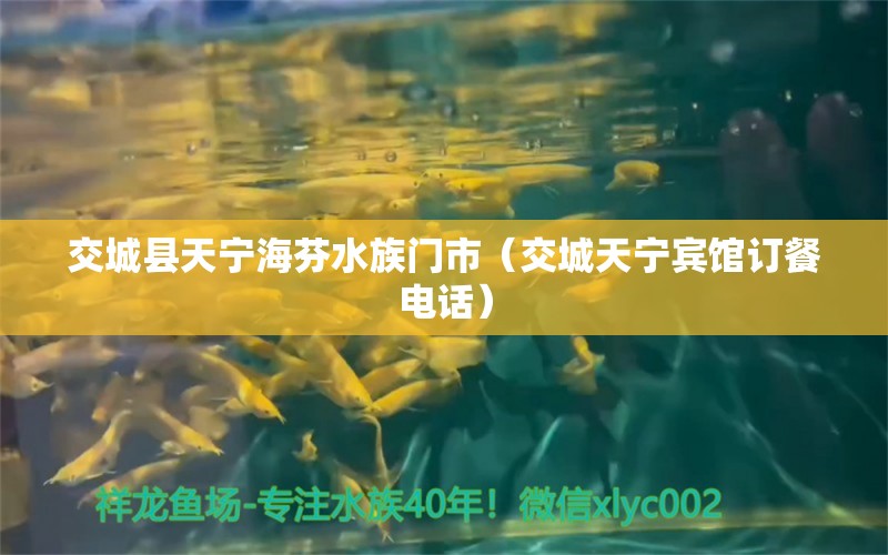 交城县天宁海芬水族门市（交城天宁宾馆订餐电话）