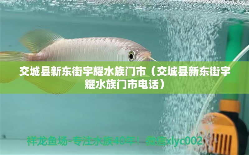 交城县新东街宇耀水族门市（交城县新东街宇耀水族门市电话）