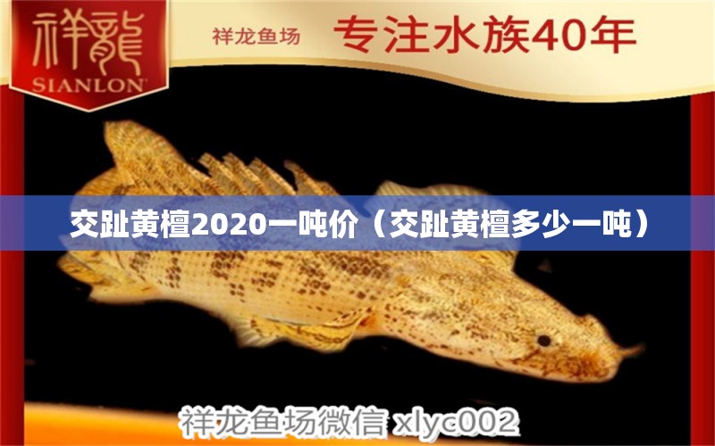 交趾黄檀2020一吨价（交趾黄檀多少一吨） 文玩