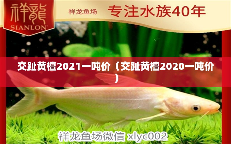 交趾黄檀2021一吨价（交趾黄檀2020一吨价）