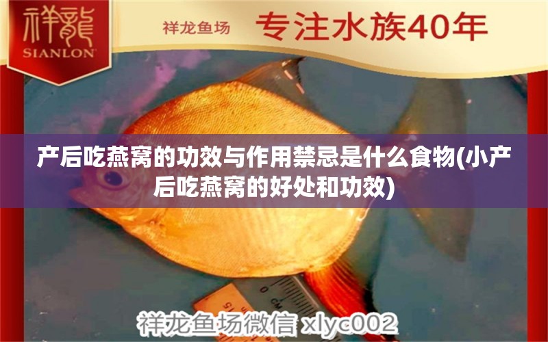 产后吃燕窝的功效与作用禁忌是什么食物(小产后吃燕窝的好处和功效)