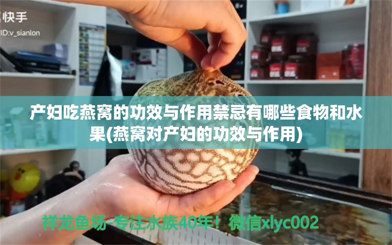 产妇吃燕窝的功效与作用禁忌有哪些食物和水果(燕窝对产妇的功效与作用) 马来西亚燕窝 第1张