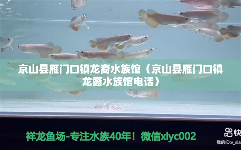 京山县雁门口镇龙裔水族馆（京山县雁门口镇龙裔水族馆电话）