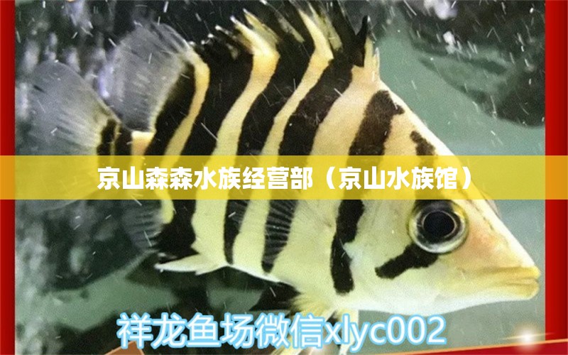 京山森森水族经营部（京山水族馆）