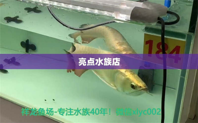 亮点水族店