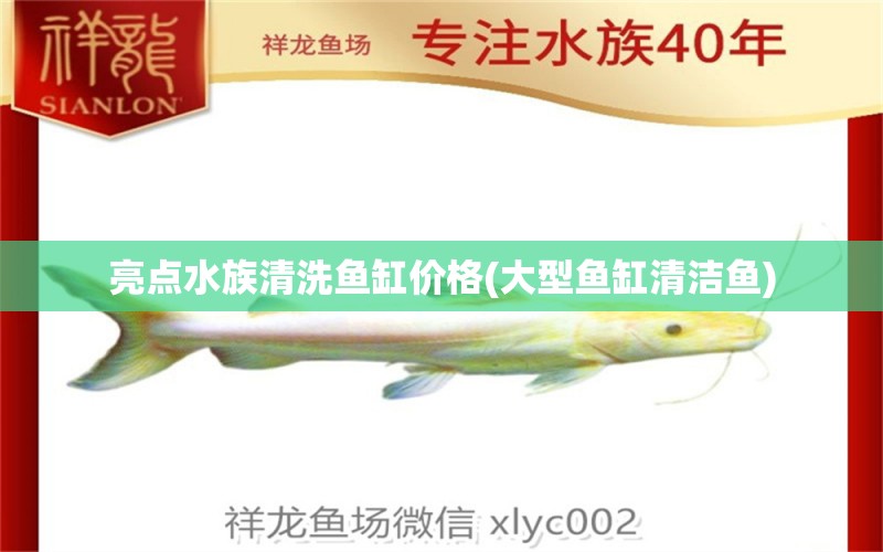 亮点水族清洗鱼缸价格(大型鱼缸清洁鱼)