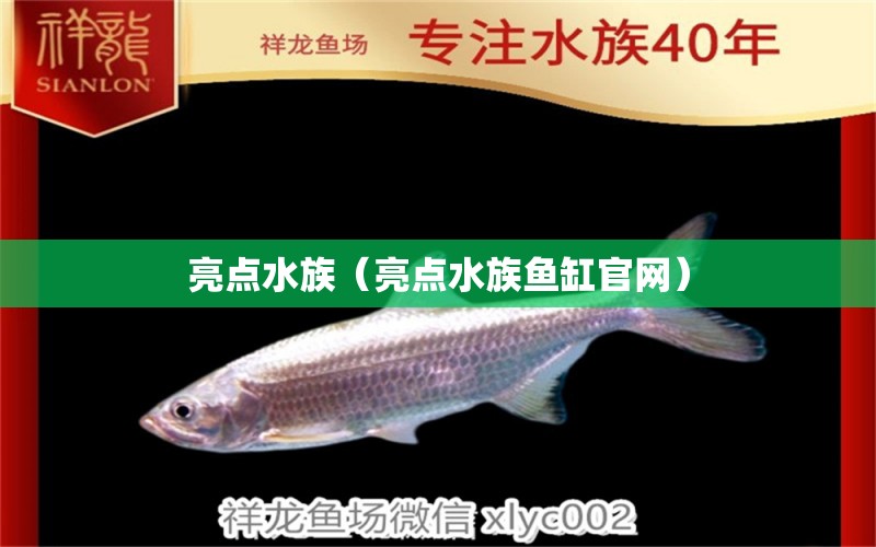 亮点水族（亮点水族鱼缸官网）