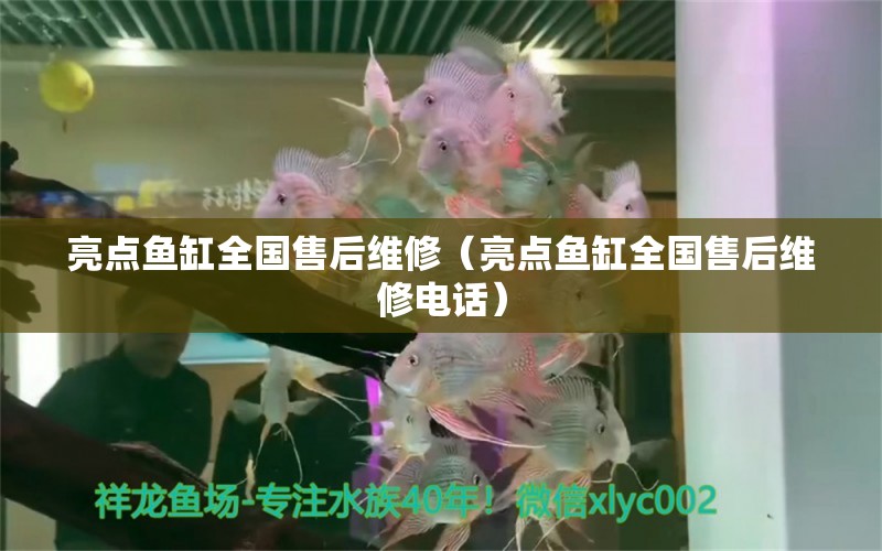 亮点鱼缸全国售后维修（亮点鱼缸全国售后维修电话） 祥龙水族医院