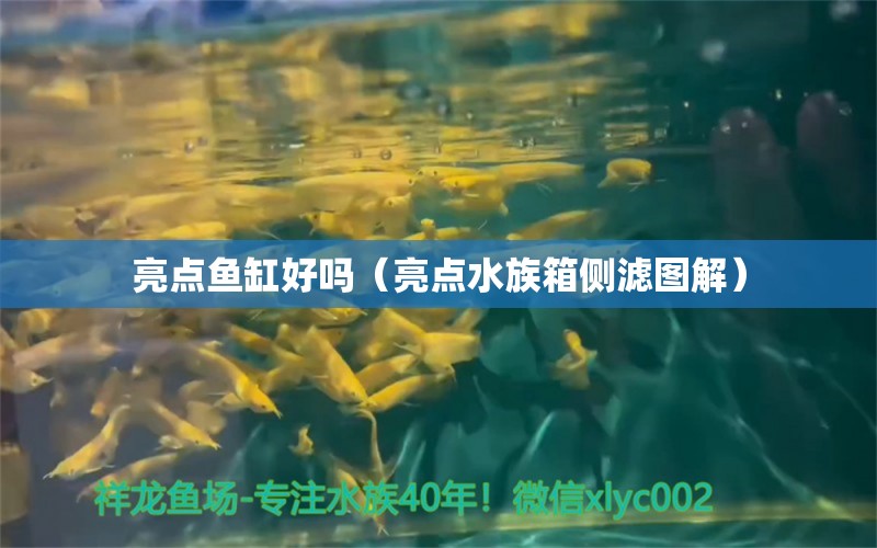 亮点鱼缸好吗（亮点水族箱侧滤图解） 定时器/自控系统 第1张