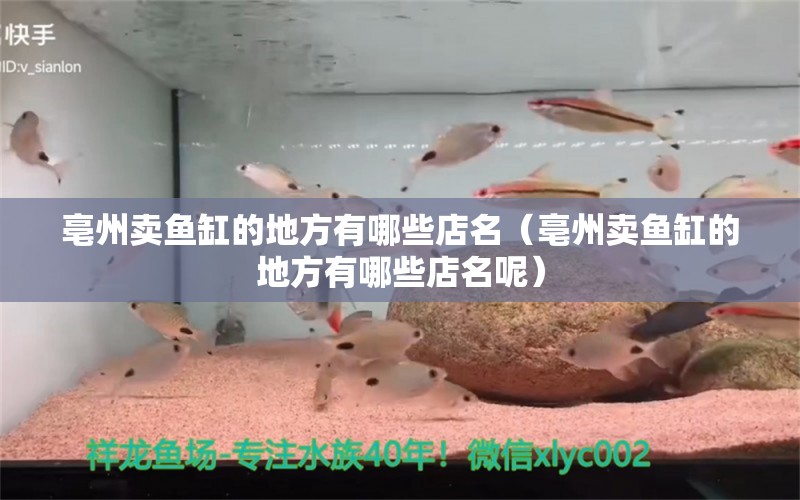 亳州卖鱼缸的地方有哪些店名（亳州卖鱼缸的地方有哪些店名呢） 祥龙水族医院