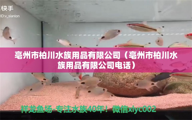 亳州市柏川水族用品有限公司（亳州市柏川水族用品有限公司电话） 水族用品