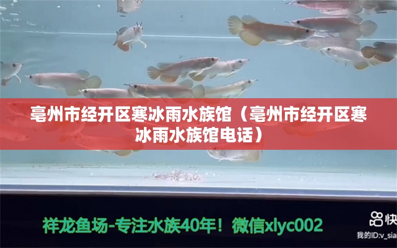 亳州市经开区寒冰雨水族馆（亳州市经开区寒冰雨水族馆电话） 全国水族馆企业名录