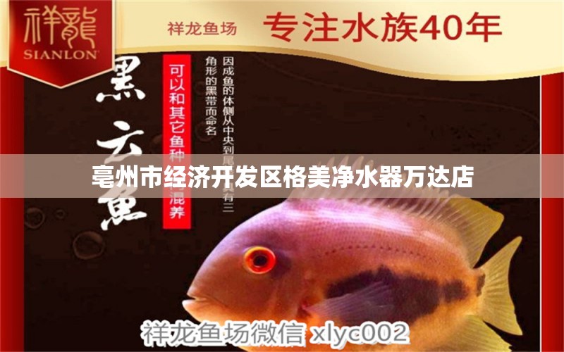 亳州市经济开发区格美净水器万达店 全国水族馆企业名录