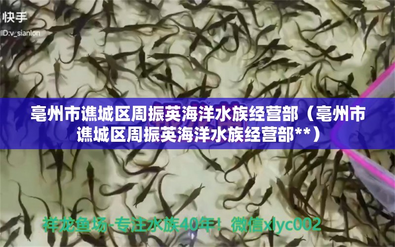 亳州市谯城区周振英海洋水族经营部（亳州市谯城区周振英海洋水族经营部**）