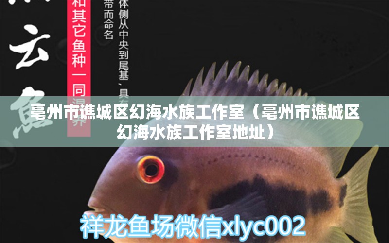 亳州市谯城区幻海水族工作室（亳州市谯城区幻海水族工作室地址） 全国水族馆企业名录