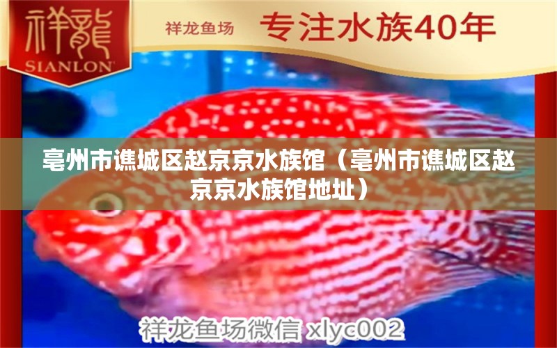 亳州市谯城区赵京京水族馆（亳州市谯城区赵京京水族馆地址） 全国水族馆企业名录