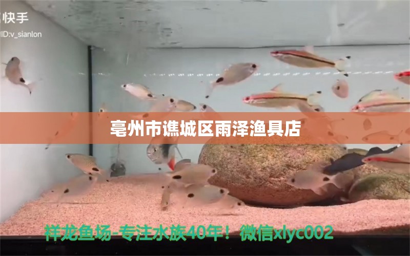 亳州市谯城区雨泽渔具店 全国水族馆企业名录