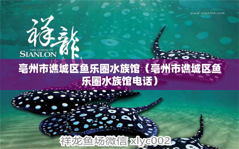 亳州市谯城区鱼乐圈水族馆（亳州市谯城区鱼乐圈水族馆电话）