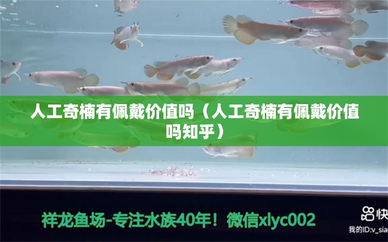 人工奇楠有佩戴价值吗（人工奇楠有佩戴价值吗知乎）