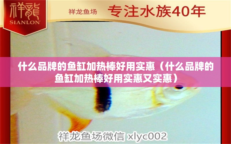 什么品牌的鱼缸加热棒好用实惠（什么品牌的鱼缸加热棒好用实惠又实惠）