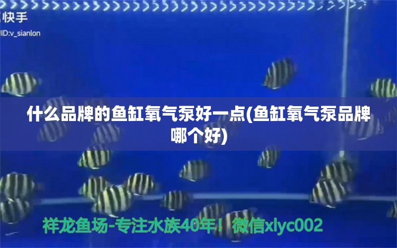 什么品牌的鱼缸氧气泵好一点(鱼缸氧气泵品牌哪个好)