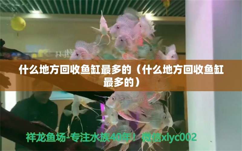 什么地方回收鱼缸最多的（什么地方回收鱼缸最多的） 祥龙水族医院