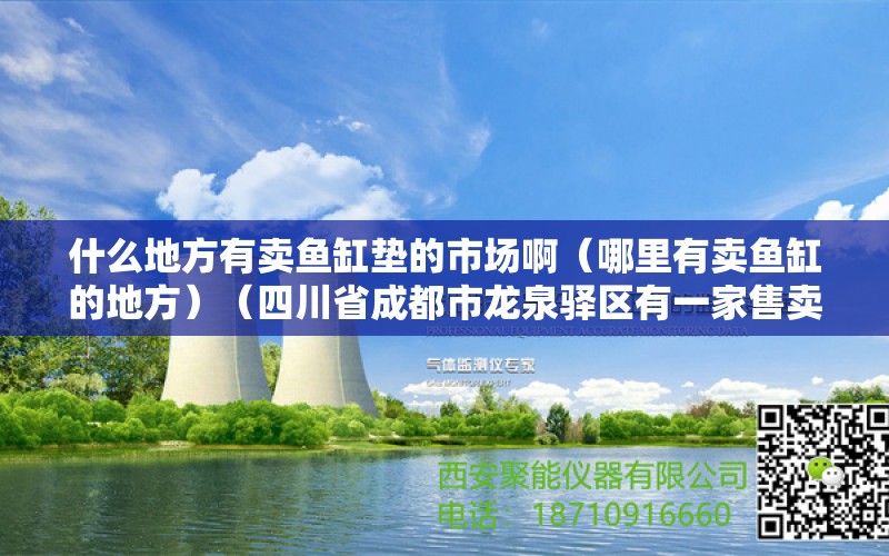 什么地方有卖鱼缸垫的市场啊（哪里有卖鱼缸的地方）（四川省成都市龙泉驿区有一家售卖龟缸鱼缸的批发市场） 鱼缸百科 第2张