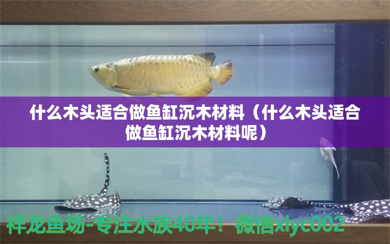 什么木头适合做鱼缸沉木材料（什么木头适合做鱼缸沉木材料呢） 其他品牌鱼缸