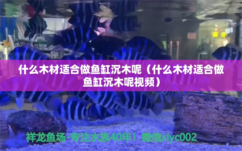 什么木材适合做鱼缸沉木呢（什么木材适合做鱼缸沉木呢视频）