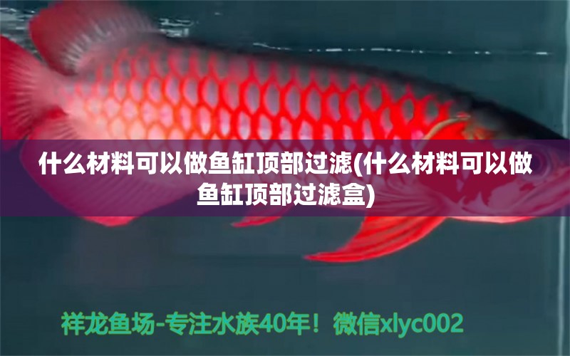 什么材料可以做鱼缸顶部过滤(什么材料可以做鱼缸顶部过滤盒) B级过背金龙鱼