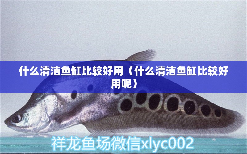 什么清洁鱼缸比较好用（什么清洁鱼缸比较好用呢） 祥龙水族医院