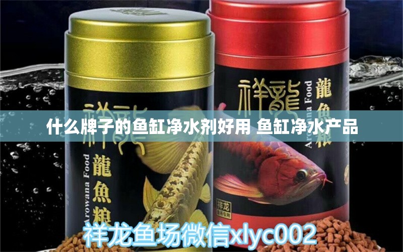 什么牌子的鱼缸净水剂好用 鱼缸净水产品