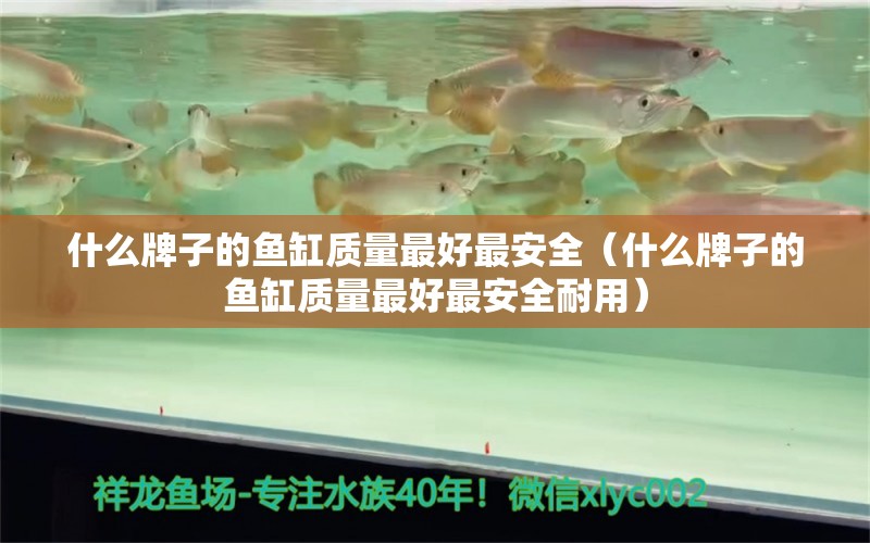 什么牌子的鱼缸质量最好最安全（什么牌子的鱼缸质量最好最安全耐用）