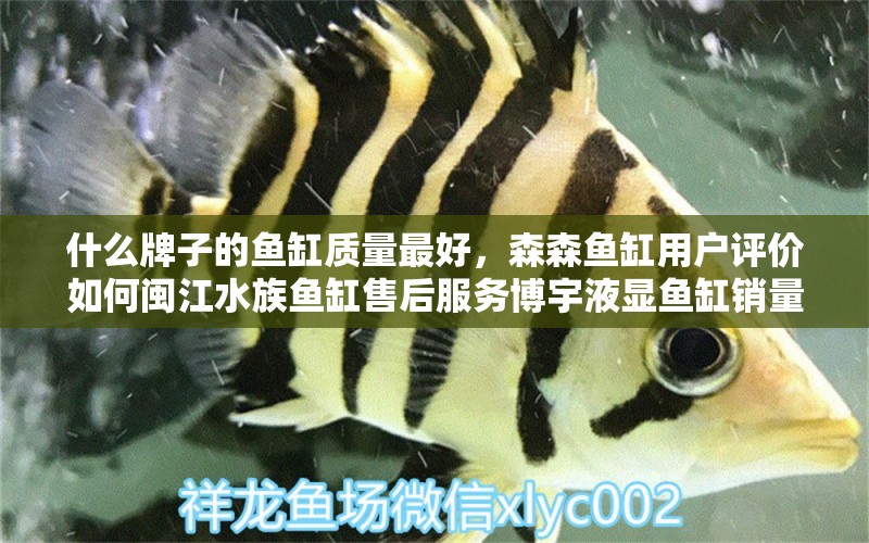 什么牌子的鱼缸质量最好，森森鱼缸用户评价如何闽江水族鱼缸售后服务博宇液显鱼缸销量佳宝 鱼缸百科 第7张