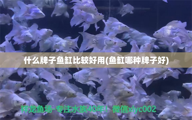 什么牌子鱼缸比较好用(鱼缸哪种牌子好) 祥龙超血红龙鱼 第2张