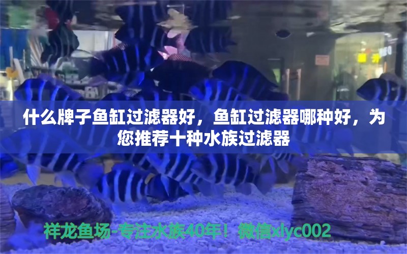 什么牌子鱼缸过滤器好，鱼缸过滤器哪种好，为您推荐十种水族过滤器