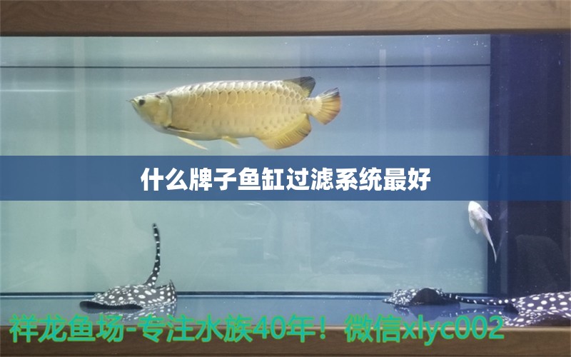 什么牌子鱼缸过滤系统最好 水族问答 第1张