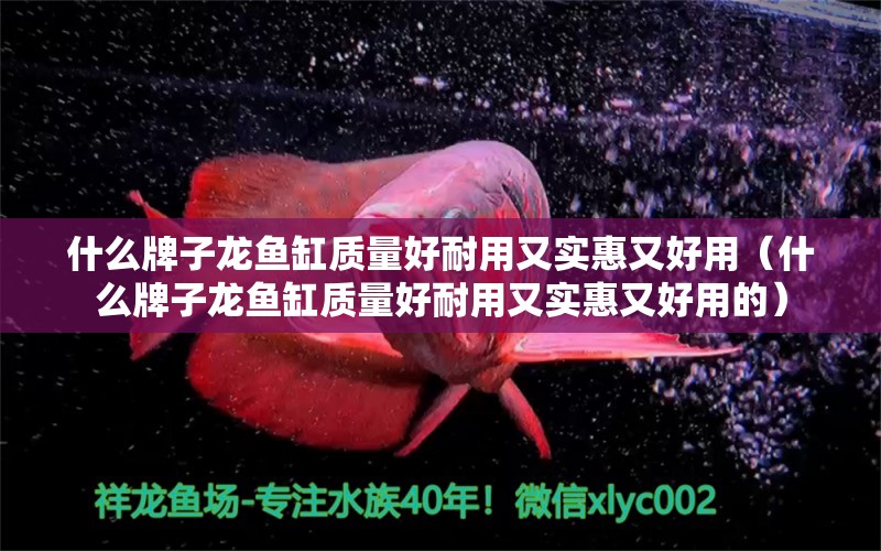 什么牌子龙鱼缸质量好耐用又实惠又好用（什么牌子龙鱼缸质量好耐用又实惠又好用的） 广州龙鱼批发市场