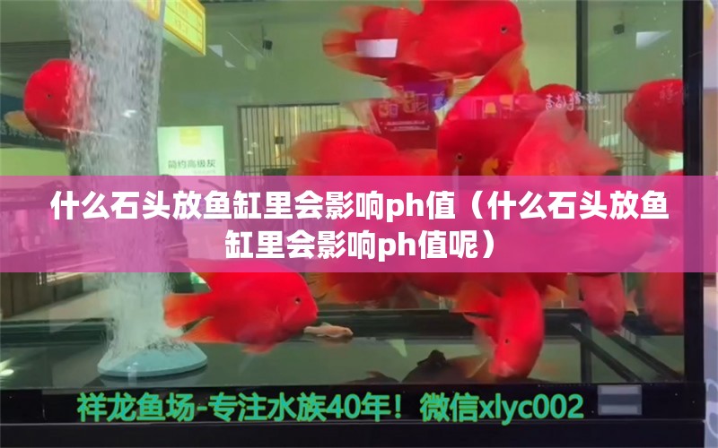 什么石头放鱼缸里会影响ph值（什么石头放鱼缸里会影响ph值呢） 其他品牌鱼缸