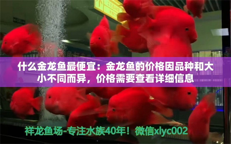 什么金龙鱼最便宜：金龙鱼的价格因品种和大小不同而异，价格需要查看详细信息