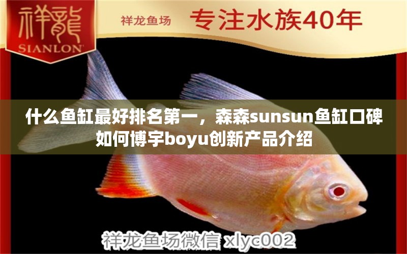 什么鱼缸最好排名第一，森森sunsun鱼缸口碑如何博宇boyu创新产品介绍 鱼缸百科 第2张