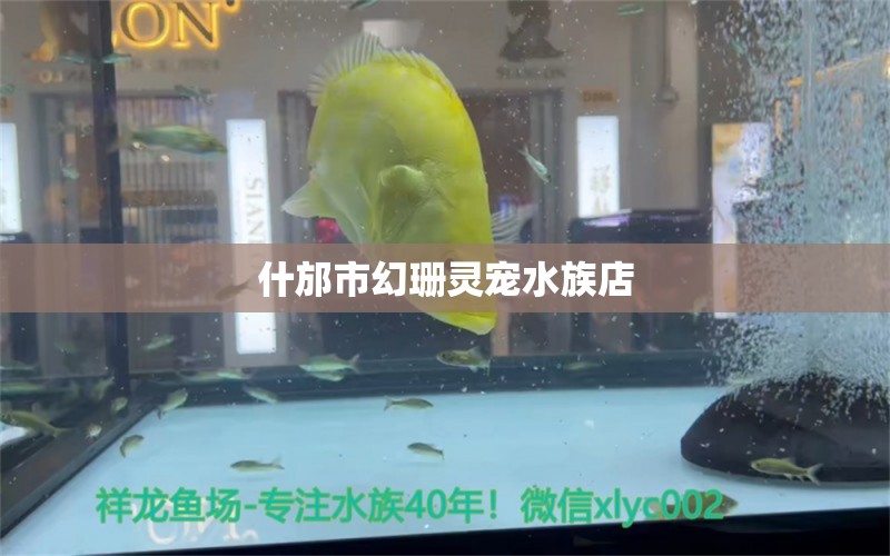 什邡市幻珊灵宠水族店