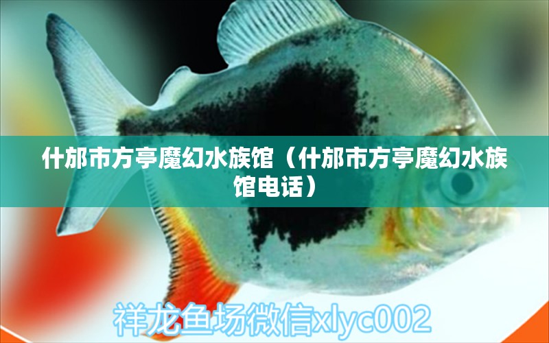 什邡市方亭魔幻水族馆（什邡市方亭魔幻水族馆电话）