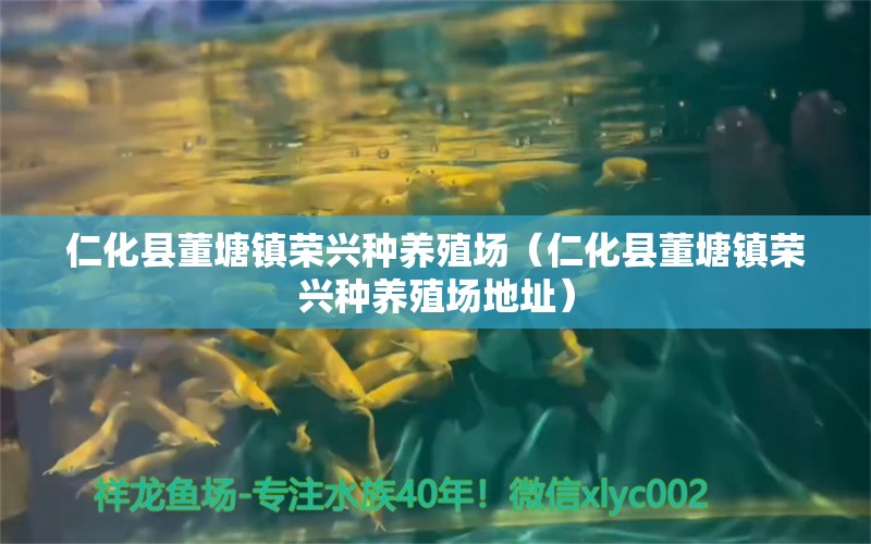 仁化县董塘镇荣兴种养殖场（仁化县董塘镇荣兴种养殖场地址） 全国水族馆企业名录 第1张