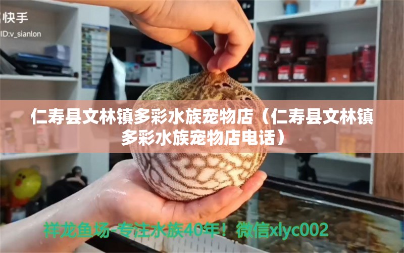 仁寿县文林镇多彩水族宠物店（仁寿县文林镇多彩水族宠物店电话）