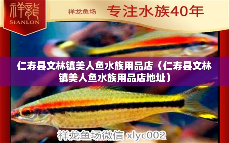 仁寿县文林镇美人鱼水族用品店（仁寿县文林镇美人鱼水族用品店地址）