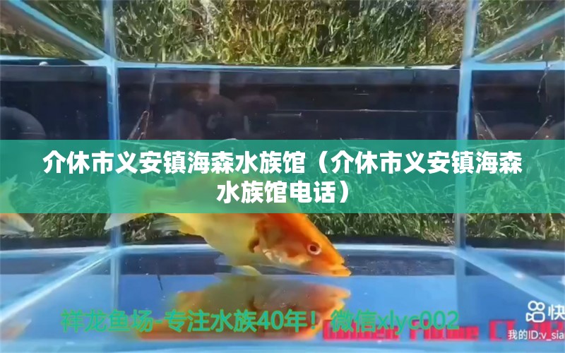 介休市义安镇海森水族馆（介休市义安镇海森水族馆电话）