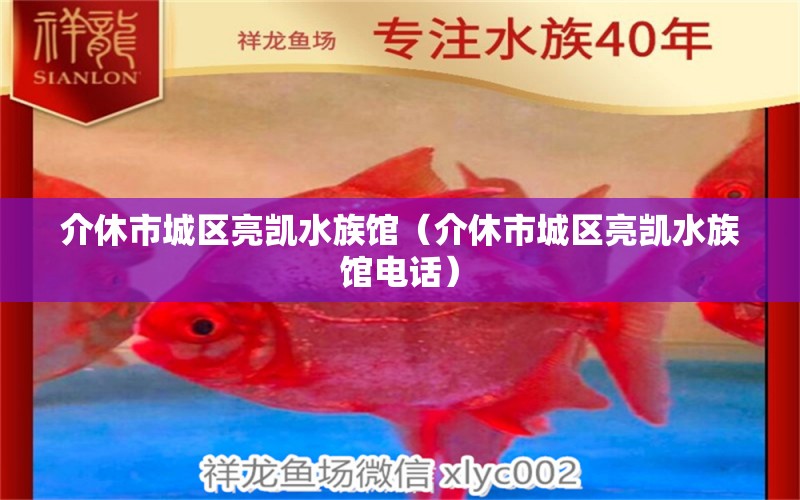 介休市城区亮凯水族馆（介休市城区亮凯水族馆电话） 全国水族馆企业名录