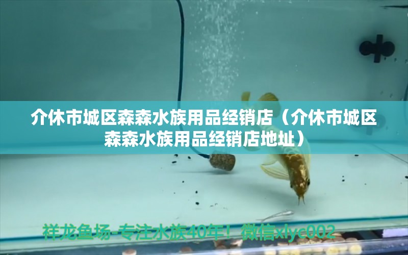 介休市城区森森水族用品经销店（介休市城区森森水族用品经销店地址）